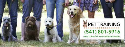 Comprehensive Pet Therapy Inc - Dog Training Oregon