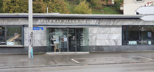 Steinway Piano Gallery Bern