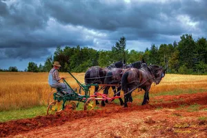 Dundas Plowing Match and Agricultural Fair Grounds image