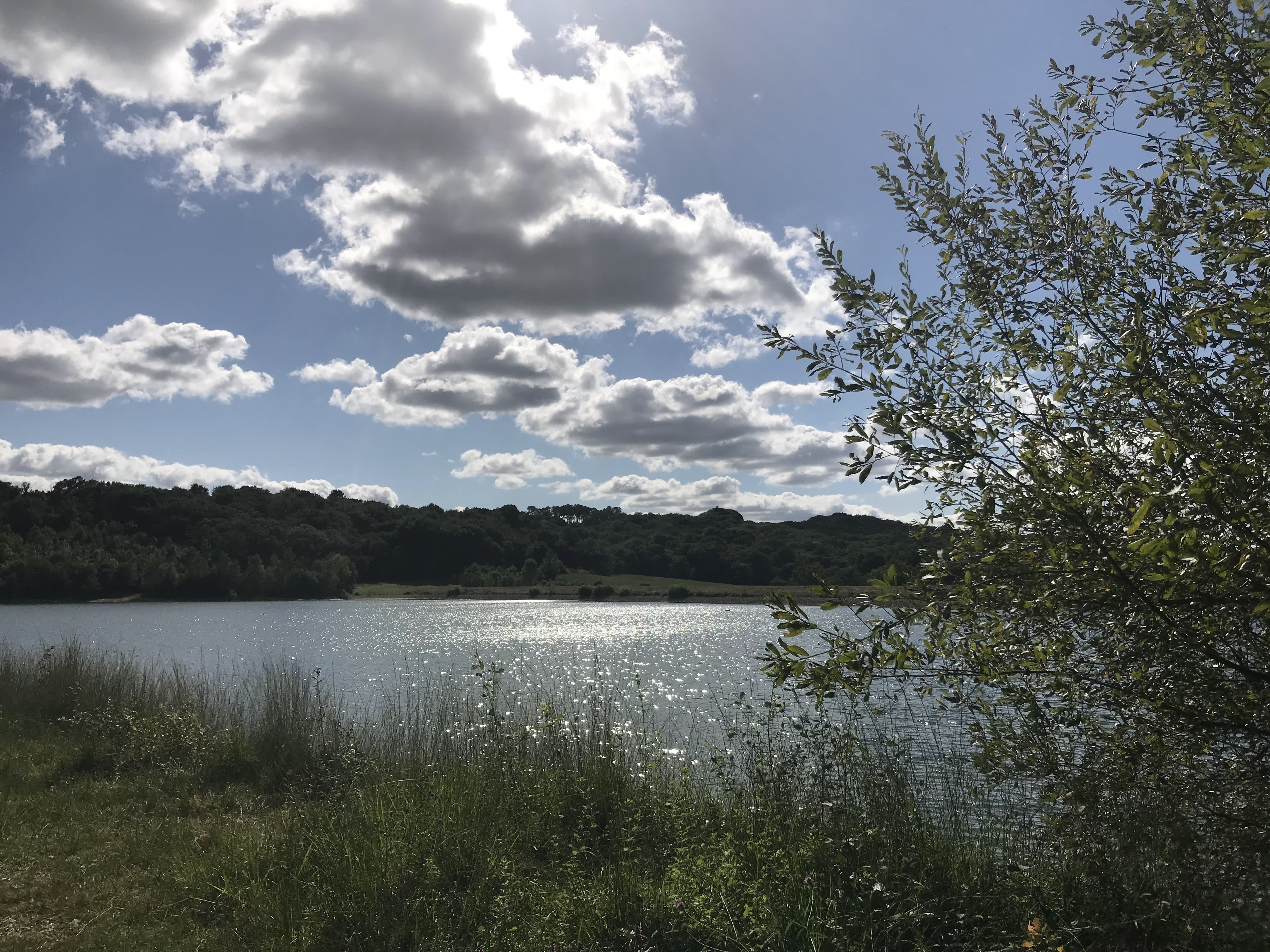Photo n° 5 de l'avis de gaelle.e fait le 17/08/2018 à 16:22