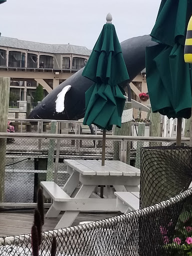 Fairground «Bangor State Fair», reviews and photos, 515 Main St, Bangor, ME 04401, USA