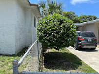 Green lawns llc - Photo 9 - Car repair in , West Palm Beach