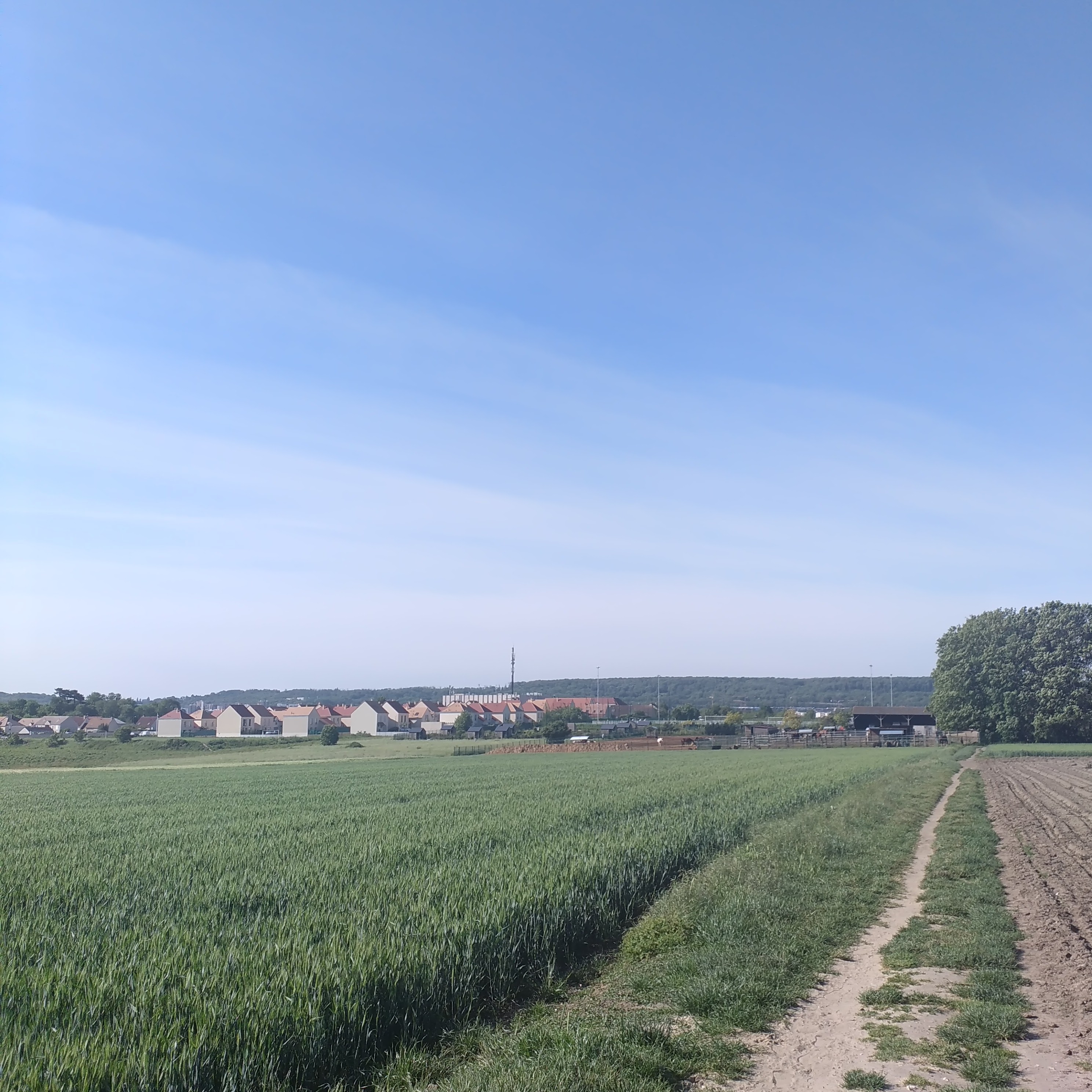 Photo n° 6 de l'avis de Françoise.e fait le 26/05/2020 à 08:48