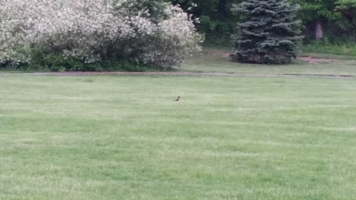 Park «Beech Woods Park», reviews and photos, 137 Beekman Rd, Kendall Park, NJ 08824, USA