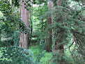 Les Trois Séquoias Géants Saint-Philbert-sur-Orne