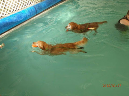 Pet Store «Pet Ponderosa», reviews and photos, 9211 204th St E, Graham, WA 98338, USA