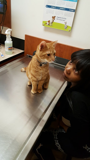 Pet Supply Store «PetSmart», reviews and photos, 1391 S Commons Dr, Myrtle Beach, SC 29588, USA