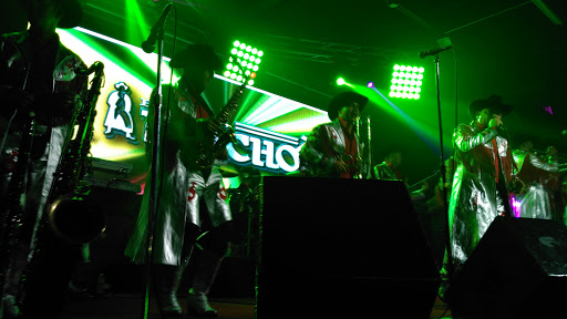 Night Club «El Bravo Night Club», reviews and photos, 8412 S Gessner Rd, Houston, TX 77074, USA