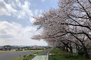 Negishi Area Sports Park image