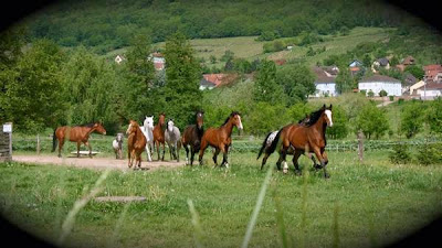 Ferme Kleinerlen à Wangen
