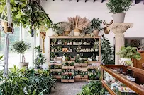 Grounded Plant and Floral Co - Car repair in Indianapolis, IN, Indianapolis - Rated 4.6/5