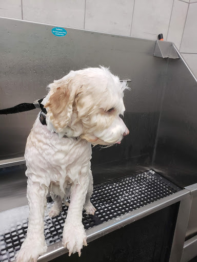 Pet Supply Store «Pet Supplies Plus», reviews and photos, 1137 Annapolis Rd, Odenton, MD 21113, USA