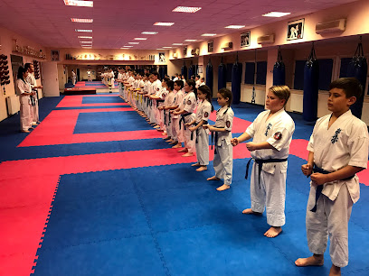 SHOGUN Harcművészeti Központ (Shinkyokushin karate)