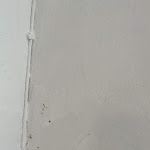 Photo n°1 de l'avis de Francesca.c fait le 09/10/2023 à 16:37 sur le  Gino à Noli