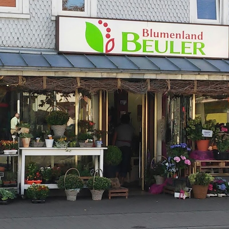 Blumenland Beuler