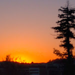 Photo n°1 de l'avis de Jose.a fait le 24/06/2021 à 15:33 sur le  Restaurante Requinte no Parque à Vila Nova de Famalicão