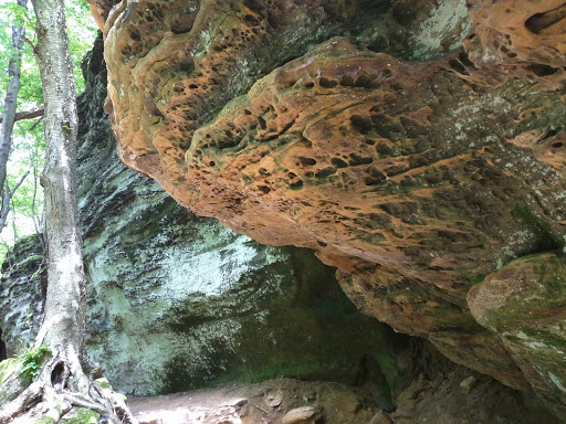 Vista Point «Ledges Overlook», reviews and photos, 405 Truxell Rd, Peninsula, OH 44264, USA