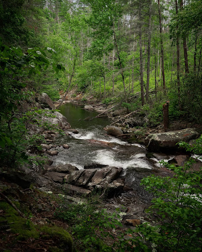 Hickory Creek Trail (Conasauga River)