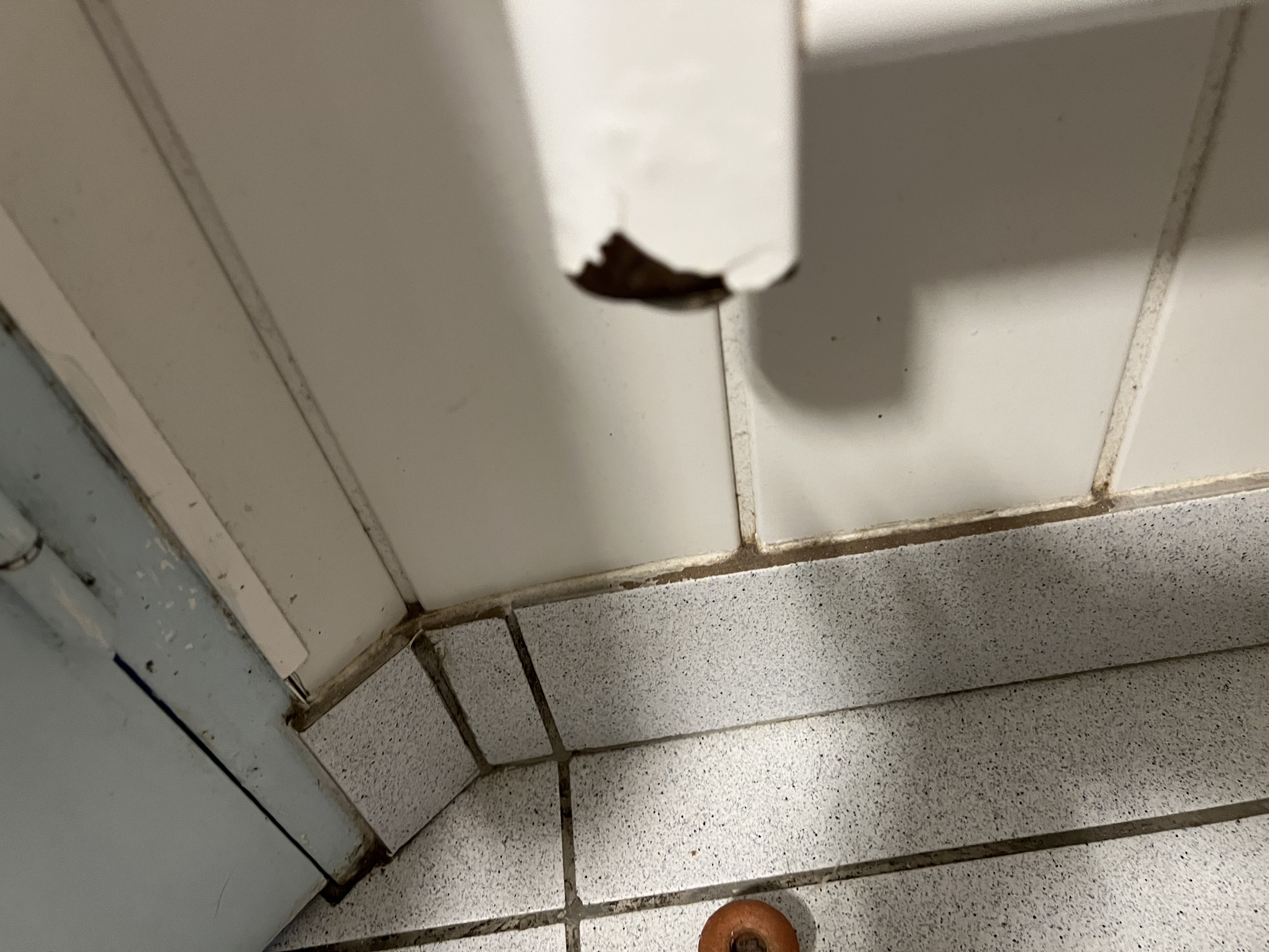 Photo n° 2 de l'avis de Michèle.e fait le 26/03/2023 à 16:34