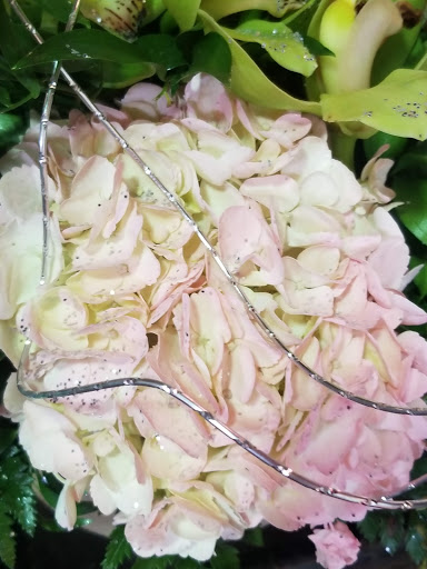 Florist «Flower & Gifts By Renee», reviews and photos, 6914 Schaefer Rd, Dearborn, MI 48126, USA