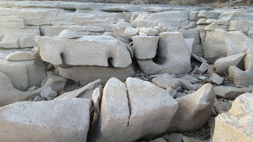 State Park «Long Hunter State Park», reviews and photos, 2910 Hobson Pike, Hermitage, TN 37076, USA