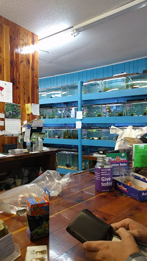 AquaVarium Pets And Supplies, 95 W Bridge St, Catskill, NY 12414, USA, 