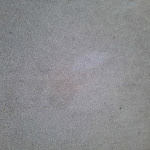 Photo n°1 de l'avis de Bärbel.� fait le 04/05/2024 à 13:12 sur le  Hotel Zum Klüverbaum à Bremen