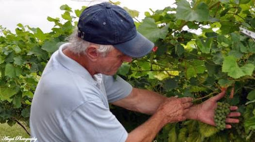 Winery «Tara Vineyard and Winery», reviews and photos, 8603 Co Rd 3914, Athens, TX 75752, USA