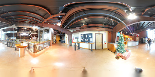 Motorcycle Dealer «Cowboy’s Alamo City Harley-Davidson», reviews and photos