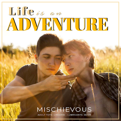 Adult Entertainment Store «Mischievous», reviews and photos, 559 300 W, Salt Lake City, UT 84101, USA