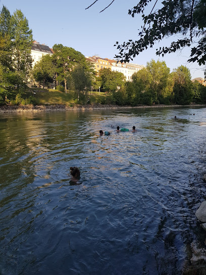Schwimmverein Donaukanal - Schwimmstop Alsergarten
