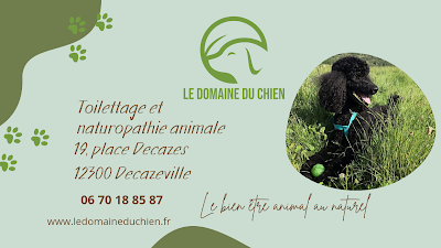 Le domaine du chien naturopathe animalier à Decazeville