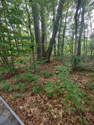 Nature Preserve «Tom S Cooperrider-Kent Bog State Nature Preserve», reviews and photos, 1028 Meloy Rd, Kent, OH 44240, USA