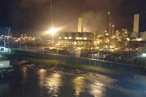 EGTL Plant image