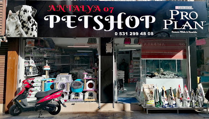 Antalya 07 PetShop