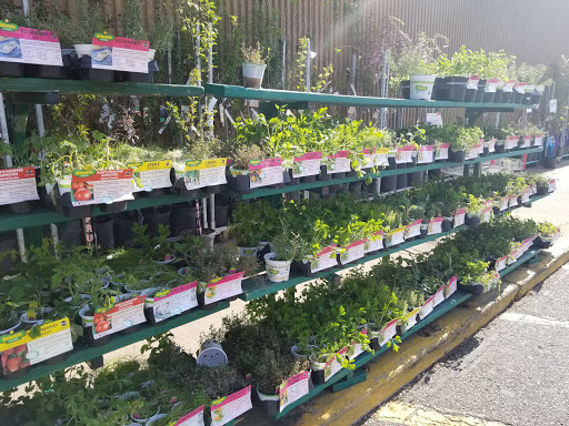 Discount Store «Kmart», reviews and photos, 411 Main St, Belleville, NJ 07109, USA