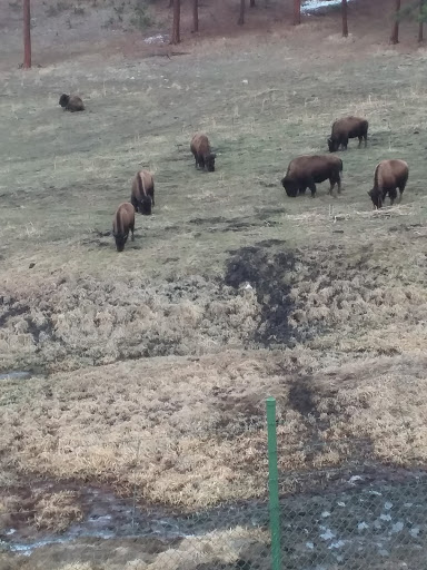 Plumber «Evergreen Septic Pumping», reviews and photos, 322 Quarter Cir Ln, Evergreen, CO 80439, USA