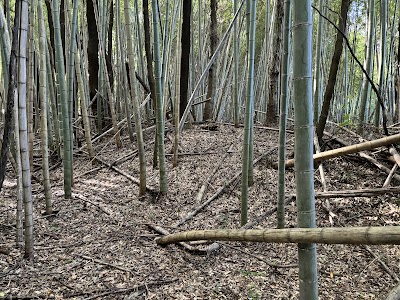 谷貝城跡