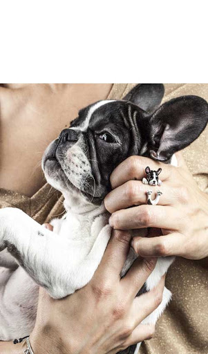 Jeweler «Sausalito Jewelers», reviews and photos, 4 Princess St, Sausalito, CA 94965, USA