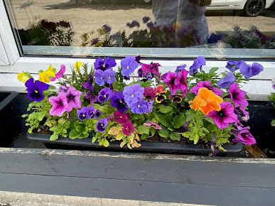 Advance Dental Practice - Advance Dental Practice