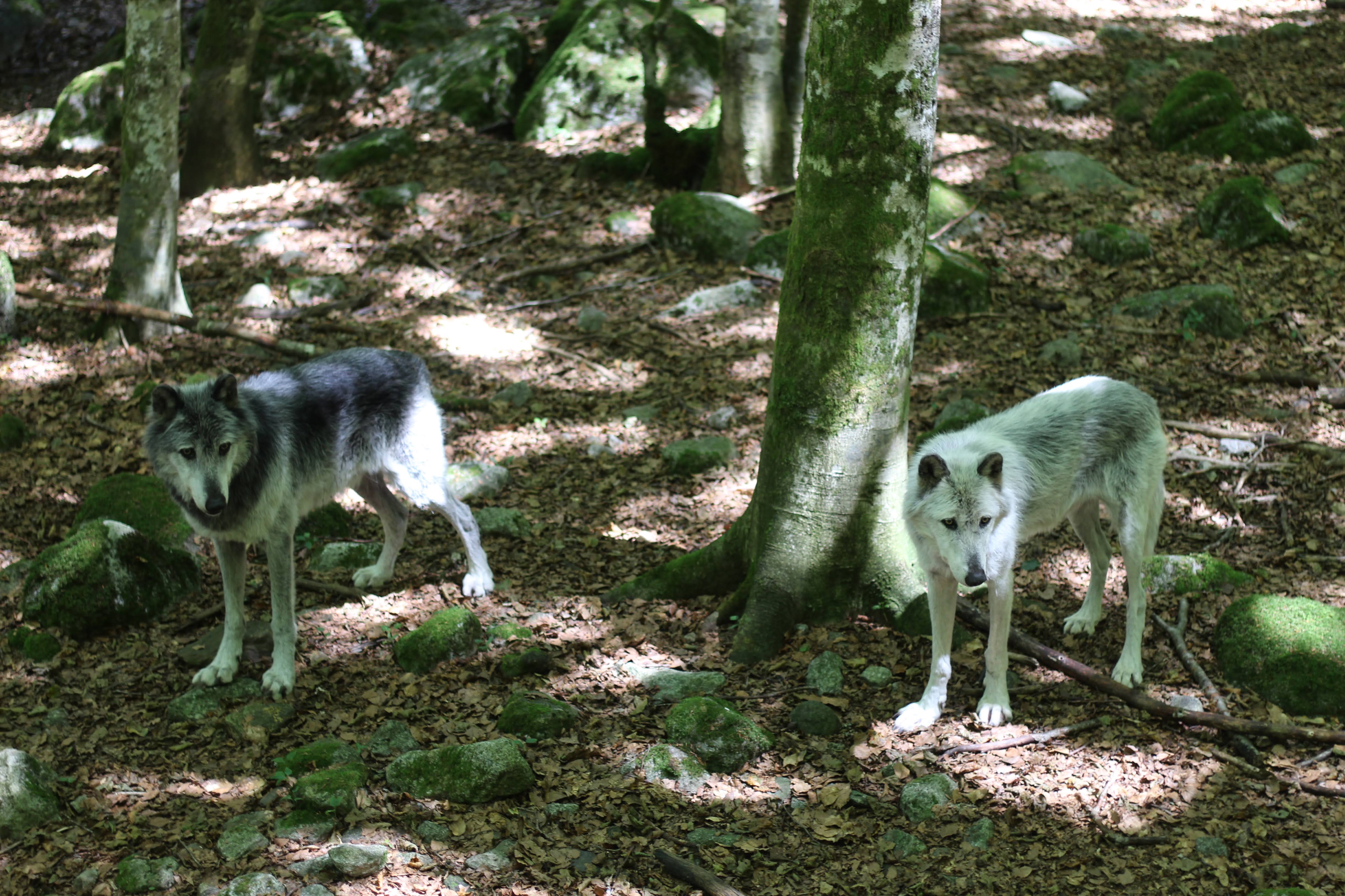 Photo n° 1 de l'avis de Julie.o fait le 08/08/2020 à 11:13