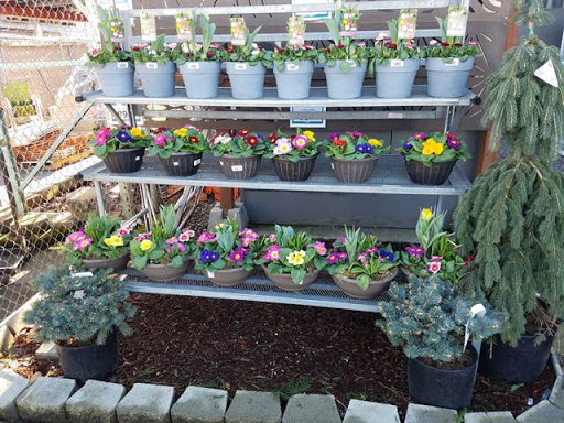 Hardware Store «McLendon Hardware», reviews and photos, 10210 16th Ave SW, Seattle, WA 98146, USA