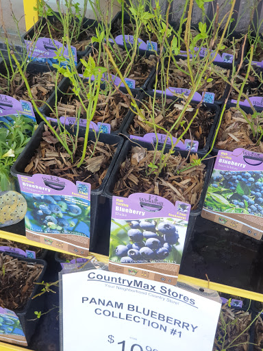 Hardware Store «Harbor Freight Tools», reviews and photos, 3179 Erie Blvd E, Syracuse, NY 13214, USA