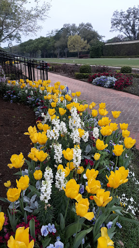 Country Club «Houston Country Club», reviews and photos, 1 Potomac Dr, Houston, TX 77057, USA