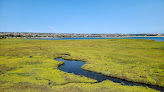 Best Marshes In San Diego Near You