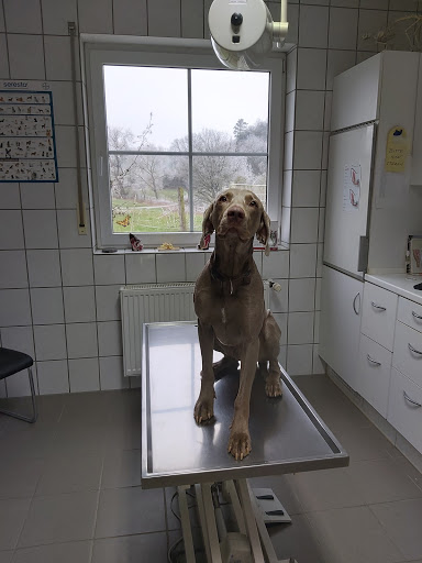 Tierarztpraxis Dr. med. vet. Almut Vockert unter Edertal, Hessen