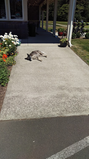 Golf Course «Peninsula Golf Course», reviews and photos, 9604 Pacific Ave, Long Beach, WA 98631, USA