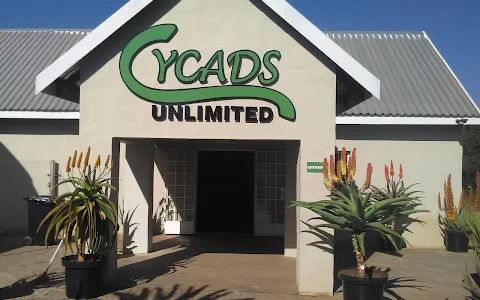 CYCADS UNLIMITED - Plant Retail Nursery; Plant Handels Kwekery image