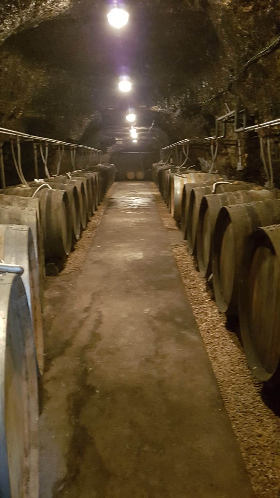 Photo n° 4 de l'avis de Salvatore.a fait le 23/08/2019 à 08:30