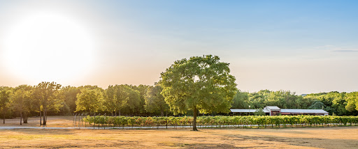 Winery «Lost Oak Winery», reviews and photos, 8101 County Rd 802, Burleson, TX 76028, USA